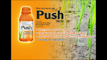 PUSH  330 OD - DIỆT SẠCH CỎ DẠI, AN TOÀN CHO LÚA