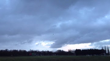 Trex 450 inverted autorotation.