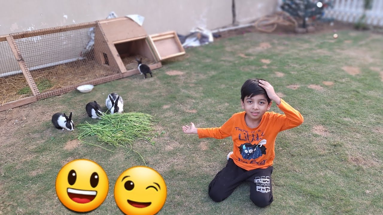 ajj finally rabbits ko bahar nikala ๐ - YouTube