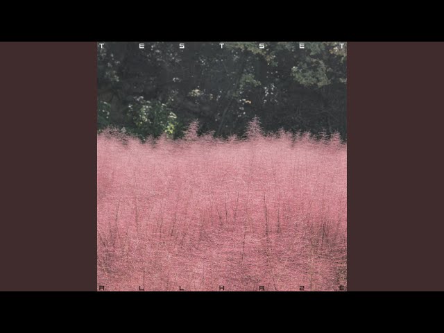 The Haze - YouTube