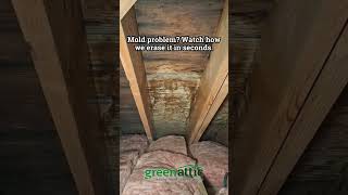 Mold problem? Watch how we erase it in seconds.