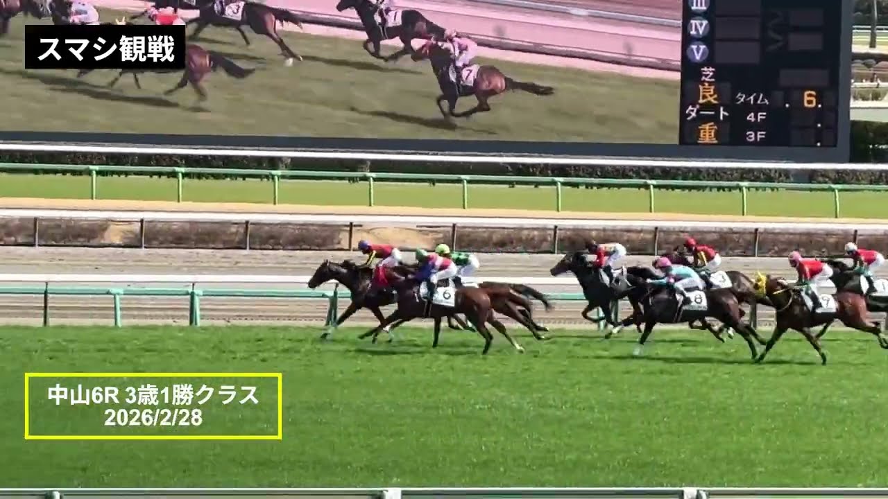 2026年2月28日 | 中山6R 3歳1勝クラス | フロレセール | ドナルンバ | アイドクレース | 現地レース映像 | 中山競馬場 | スマシ観戦 | 芝1,800