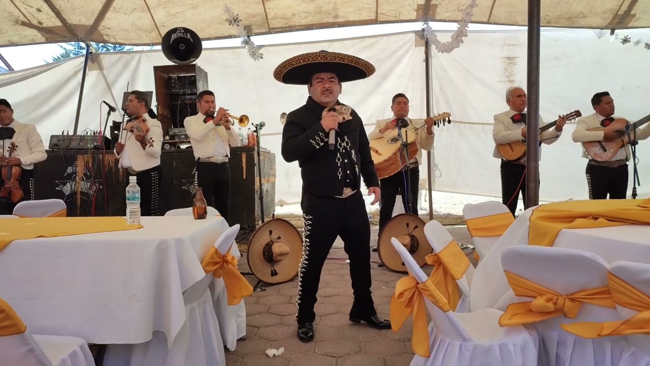 Esta Tristeza Mía - Javier Solis (Natanael Gomez)