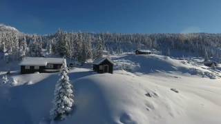 Sonstul på Lifjell