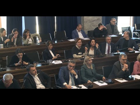 რუსული კანონის განხილვა - ხმაური იურიდიულ კომიტეტში - ნაწილი7 15.04.2024