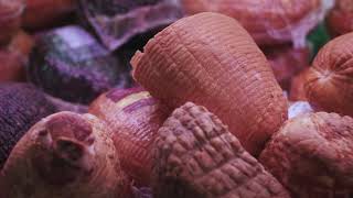 Prospera Business Member Spotlight: Karl's Meats