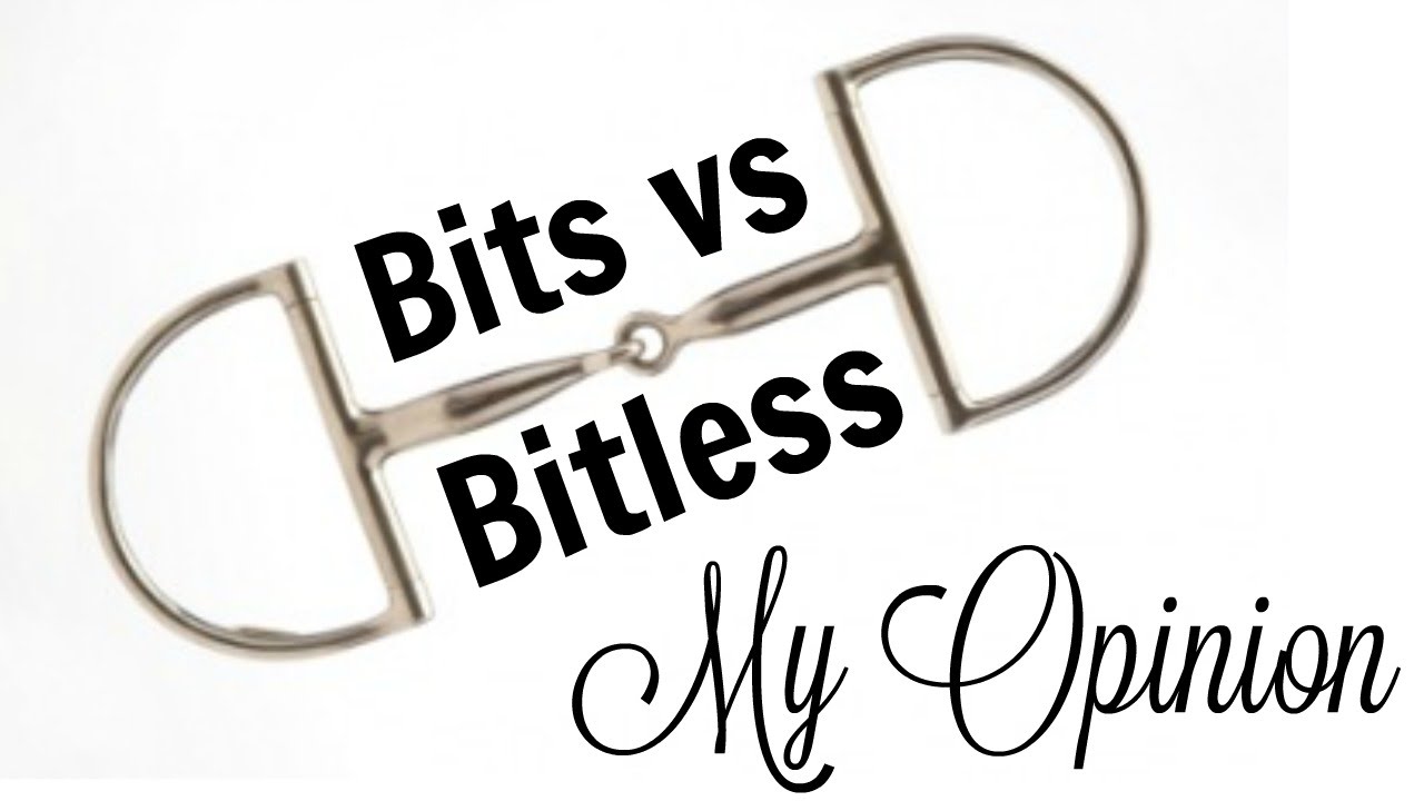 My Opinion: Bits vs Bitless - YouTube