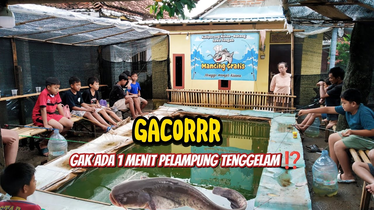 bismillah, Tayang perdana❓ semoga bisa menghibur dulor semua. Hususnya warga Batang kota kelahiran😊✅