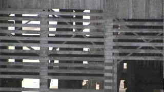 One Week In Nags Head, NC