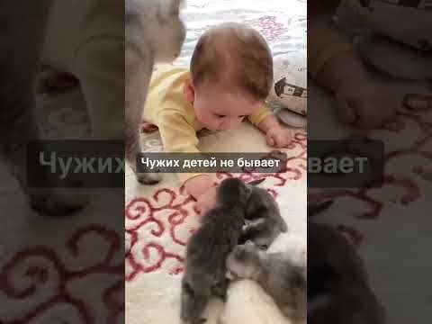 Чужих детей не бывает #кошка #ребенок #дети #забота #мама #любовь