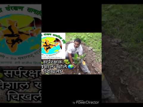 video player कोंबडीच्या खुराड्यात सापडला नाग