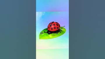 Small #ladybug animation made in #blender #cutecharacters #3dartwork #cartoonstyleart #3danimation