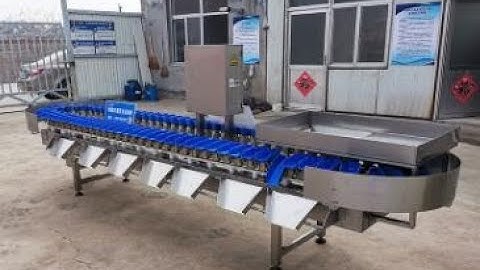 chicken feet weighing sorting machine