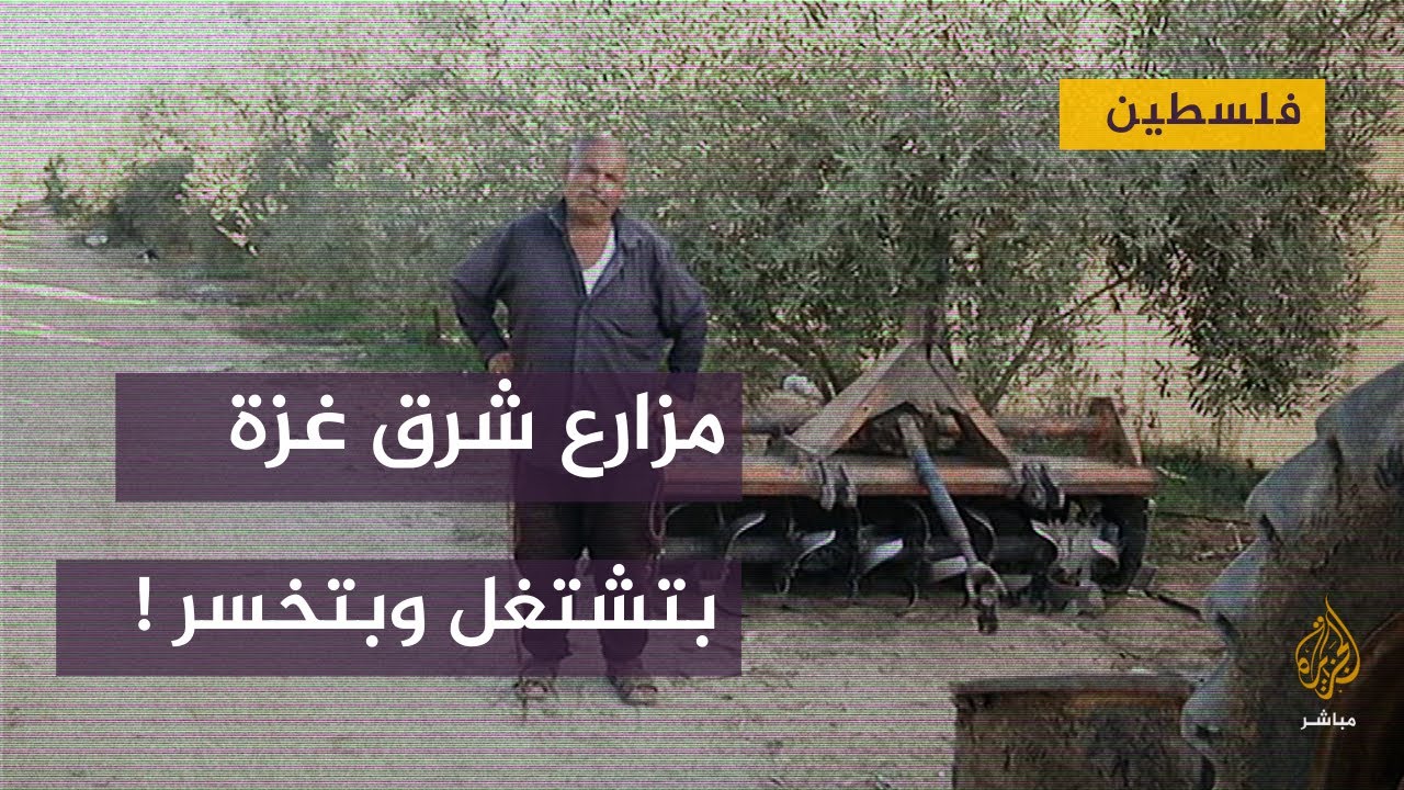 "ليه بتشتغل وبتخسر؟" لمزارع شرق غزة ؟ ورده: آه الواحد الأرض بتاعتو بدو يسيبها لمين!