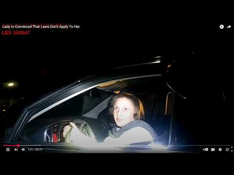 Sovereign Citizen Gets Arrested By No Nonsense Florida Police Officers And Travels To The Iron Hotel