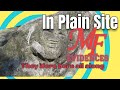 IN PLAIN SIGHT PART 2