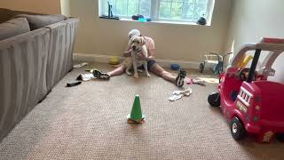 Vito's Thinking Game w:Socks