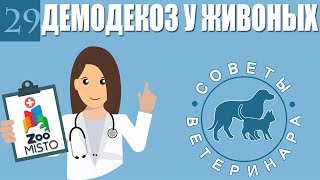 Демодекоз или подкожный клещь у животных | Что такое демодекоз ? | Советы Ветеринара