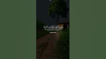 تلاوة تقشعر لها الابدان بصوت جميل🎧😊🤎 #quranexplorer #islamicscripture #اكسبلور #islamistics