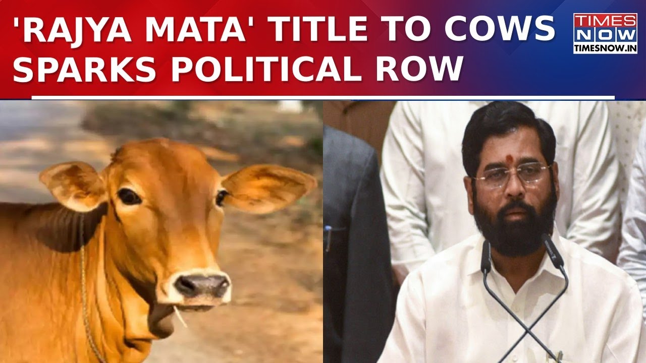 Maharashtra Cabinet's 'Rajya Mata' Decision For Cows Sparks Row, Oppn Links Move To Assembly Polls