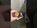 Eating sushi off the ground