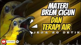 MASTERAN SOGON MATERI BREM CIGUN DAN TERAPI AIR JEDA 20 detik!!! #sogon #sogongacor #sogokontong