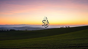 سورة يس بأصوات 5 قراء عالميين | تلاوة تخشع لها القلوب | Surah Yassin
