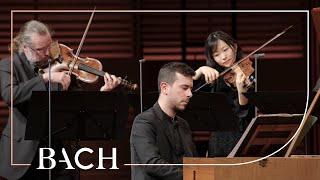 Bach - Harpsichord concerto in A major BWV 1055 - Corti | Netherlands Bach Society
