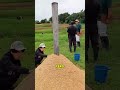 Cómo Convertir Desechos de Arroz en Carbón Valioso