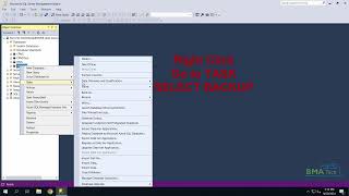 How to Back Up a Database in Microsoft SQL Server Management Studio (MSSQL) 2019 | 2016 | 2012
