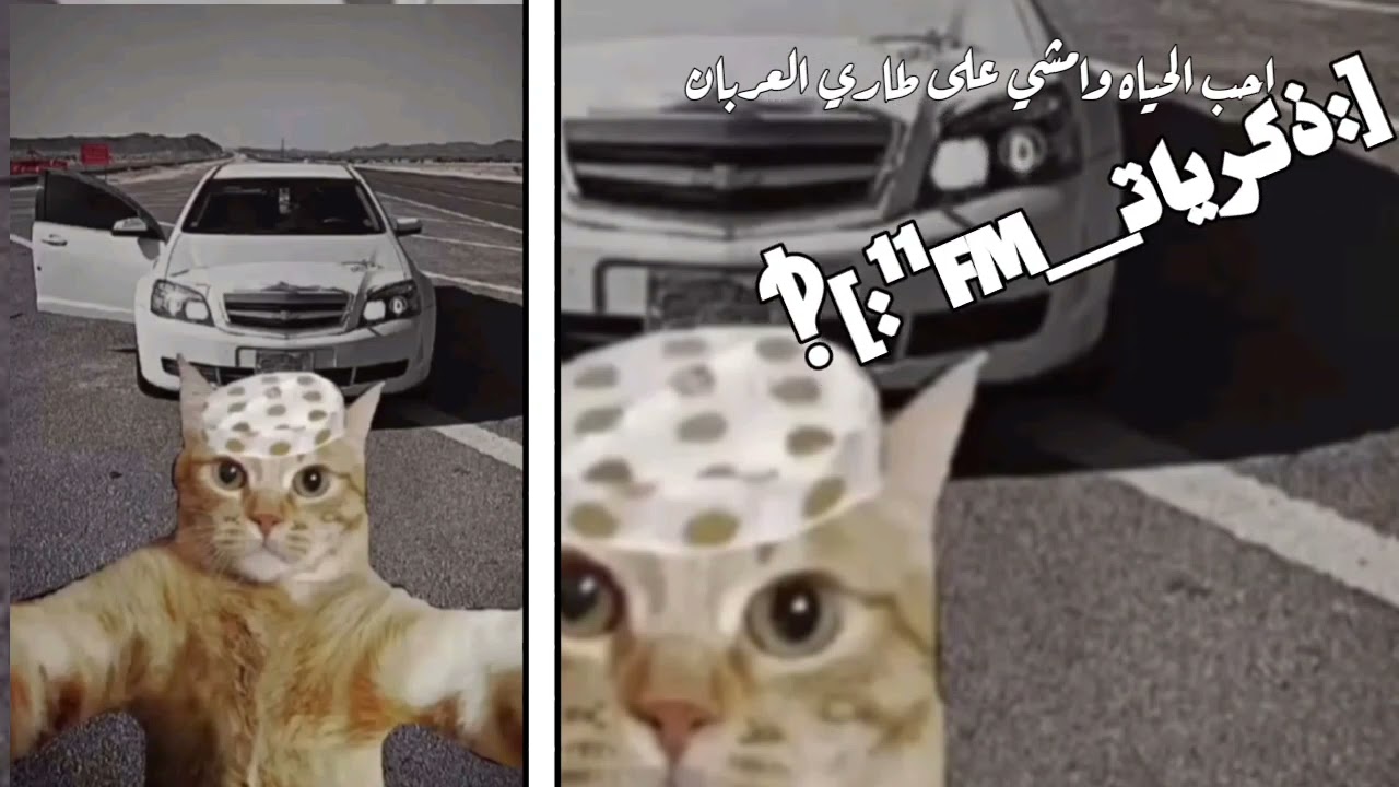 احب الحياه وامشي على طاري العربان|I love life and walk on the carriages of the carriages