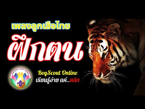 เพลงลูกเสือ EP.30  เพลงฝึกตน (ทำนองเพลงเด็กปั้ม...ข้อยจากอิสานหลายปี...)