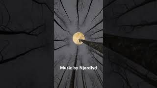 Music by @njordlyd #soundhealing #musicproducer #dronefootage