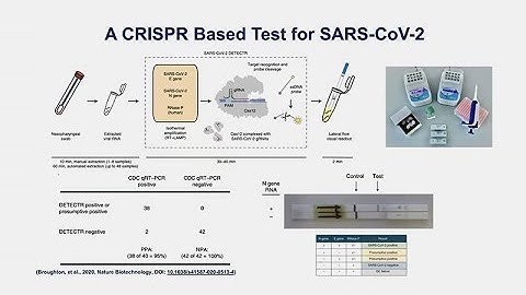 COVID-19 Testing, Surveillance, and Diagnosis: Notes from a Disease Detective