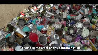 The Sorting of Mixed Cans