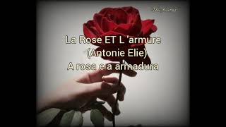 La rose et l'armure-Antoine Elie( Tradução)