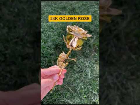 LUXURY 24K GOLDEN ROSE