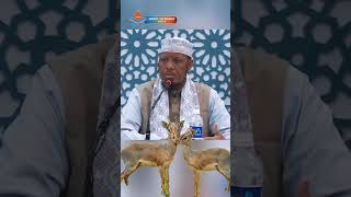 Shiikh maxamed Umal  Oo lawaydiiyay Su aaal Cajiipa.Bal Daawo...