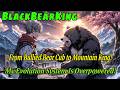 From Bullied Bear Cub to Mountain King! My Evolution System Is Overpowered!​#action #anime #animals