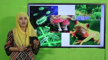 Science 5 Unit 1 SLO 1 || SNC 2020 ||