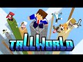 Tallworld: First to 1000 blocks wins.