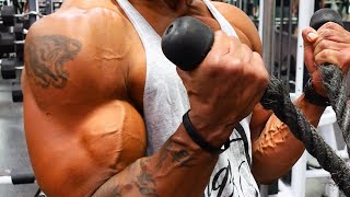 Famous 😲 Gain 20+ lbs of Muscle In ONE YEAR? Profile