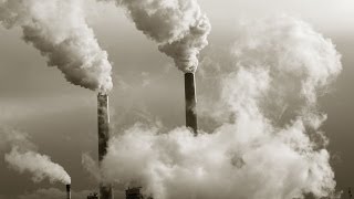 Climate Activists: Carbon Trading a False Solution Pushed by Bankers and Bureaucrats