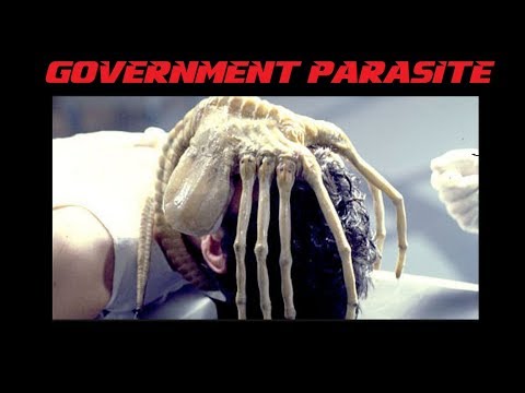 Government Parasite - POTP highlight Episode 257