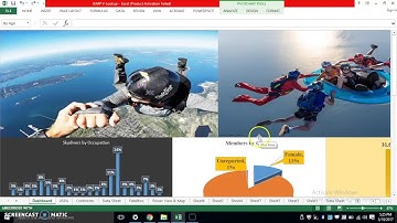 Excel Dashboard Midterm for CIS 3367 Baruch College