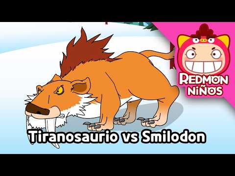 Tyrannosaurus vs. Smilodon! 🦖💥🐯 Dinosaur Battle | REDMON Kids