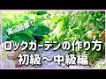 【知ってましたか？】ロックガーデンは基本が解れば意外と簡単に作れます！しかもペペの方法だと配置換えの時困りません♥