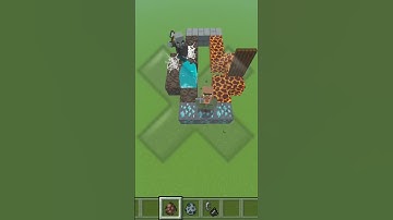 Vindicator IQ TEST With Villager (World