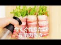 【簡単レシピ】やっぱり豆苗が最強♡節約レシピにもおすすめの肉巻き＊ボリューミー＊肉料理＊野菜レシピ
