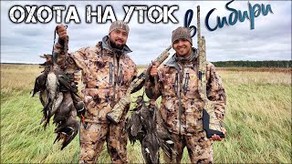 Охота на уток в Сибири | Сезон охоты 2021 с новыми ружьями